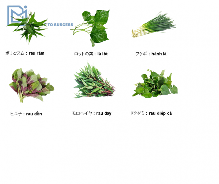 Tên các loại rau Việt Nam trong tiếng Nhật - ĐỨC MINH